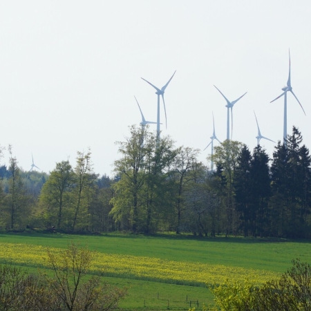 23 D HES VB VB DSC03685 2.jpg